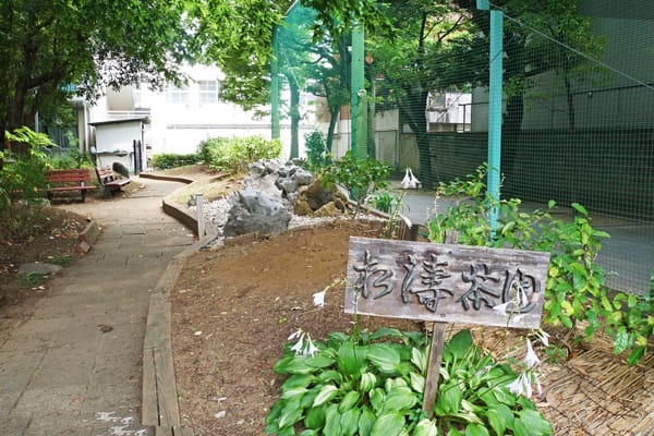 松濤茶園の様子