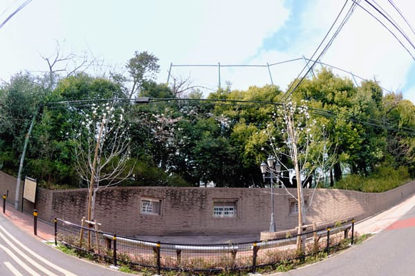 校門のあった場所の様子（佐藤豊氏提供）